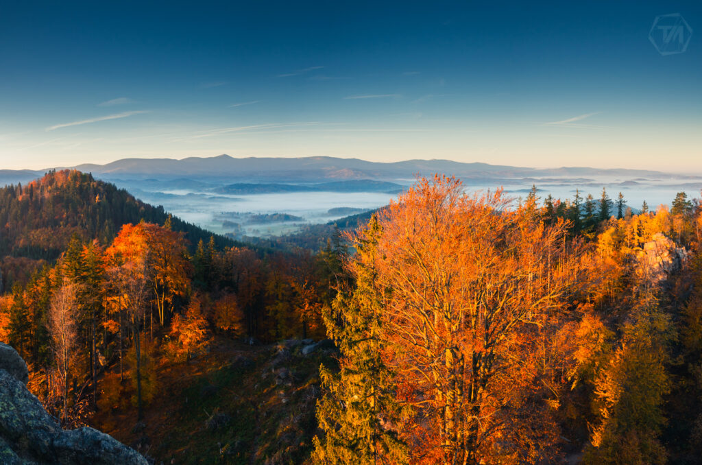 FTM_9856-Pano-Instagram-2